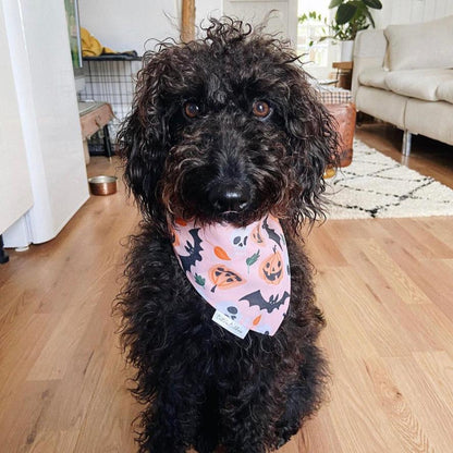 Peachy Pumpkins Bandana