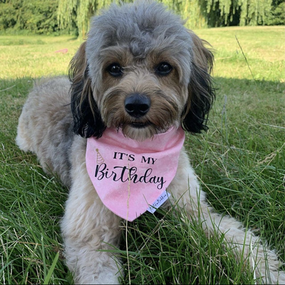 It's My Birthday Bandana- Pink