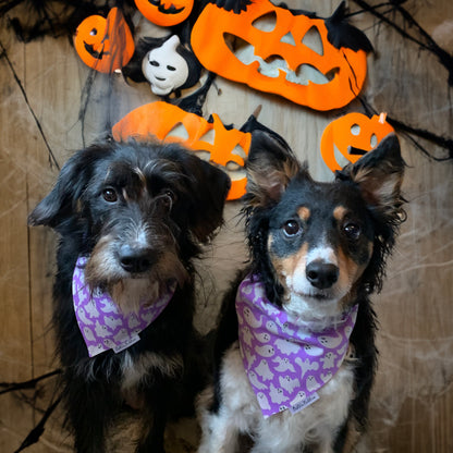 Purple Ghosts Bandana
