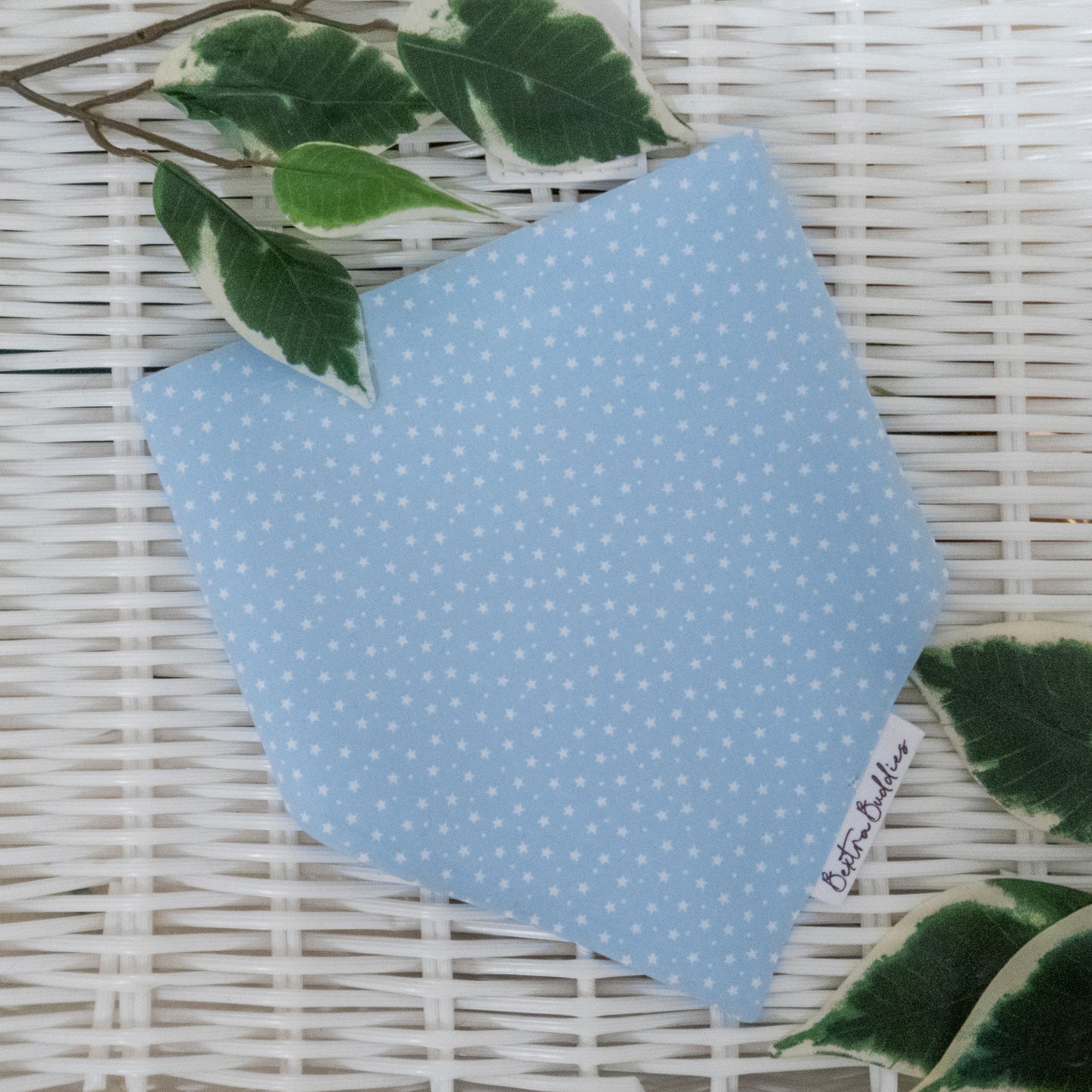 Blue Starry Collection