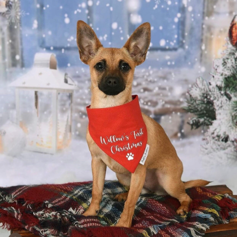 My First Christmas Bandana