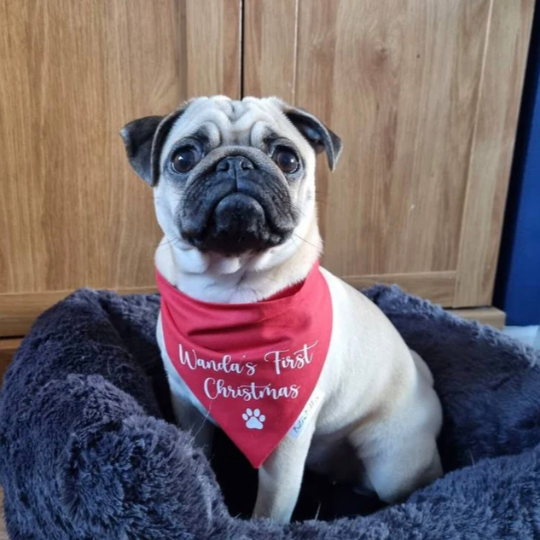 My First Christmas Bandana