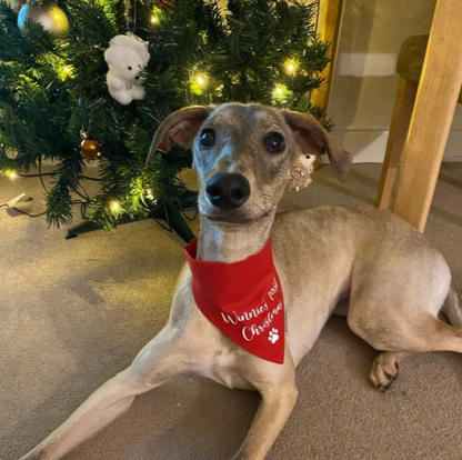 My First Christmas Bandana